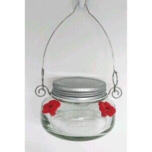 Nature's Way Bird Products Mason Jar Hummingbird Dish Feeder
